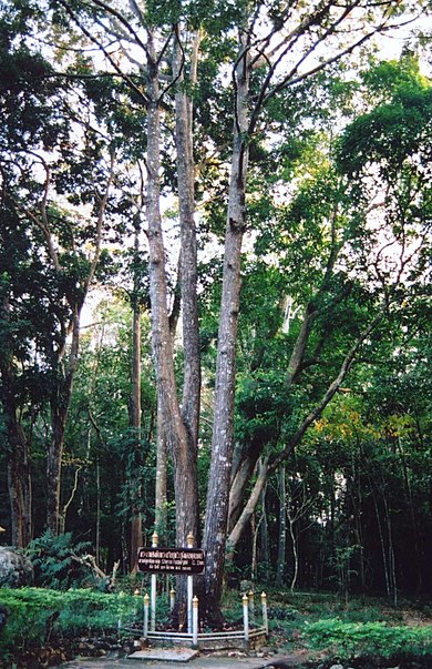 Phu Kao–Phu Phan Kham National Park