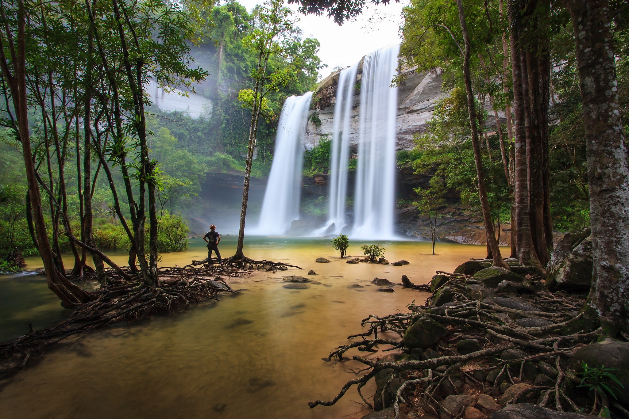 Parque nacional de Phu Chong Na Yoi, Tailandia