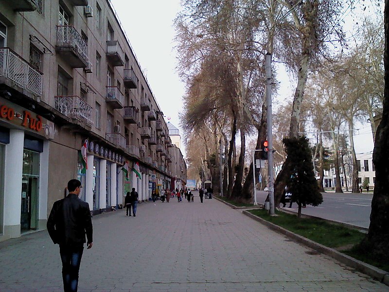 Rudaki Avenue