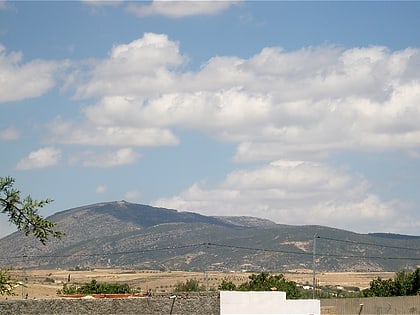 Djebel Bargou