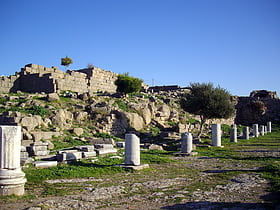 Bibliothek von Pergamon