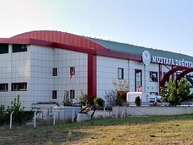 mustafa dagistanli sports hall samsun