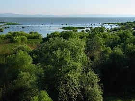 lago manyas
