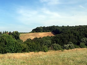 Park Krajobrazowy Polonezköy