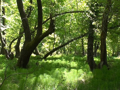 Marmaris National Park