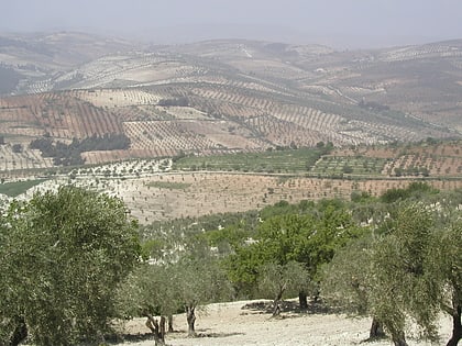 Montes Kurdos