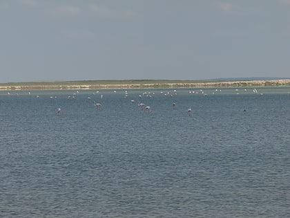 Lake Seyfe