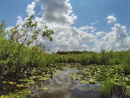 acarlar floodplain forest