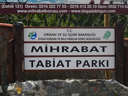 mihrabat nature park istanbul