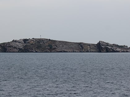 Isla Tavşan