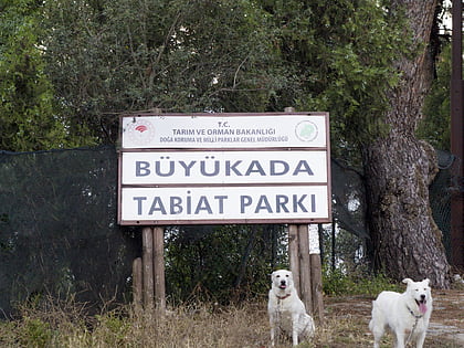 Park Krajobrazowy Büyükada