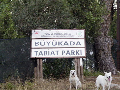 park krajobrazowy buyukada