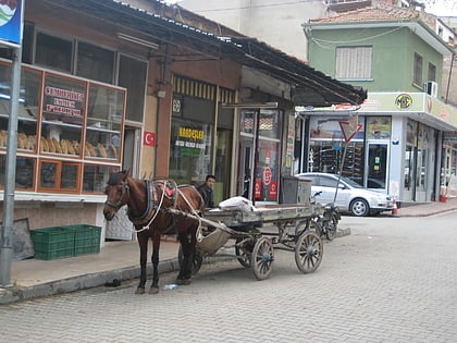 Alaşehir