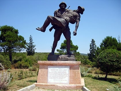 Respect to Mehmetçik Monument