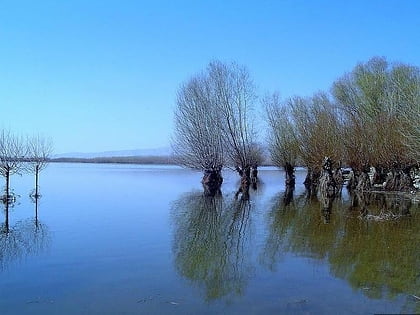 Lago Işıklı