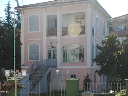 sakarya museum adapazari