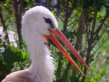 bogazici zoo