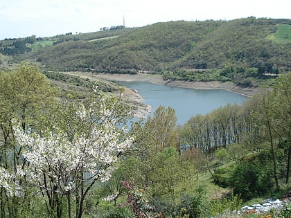 omerli dam