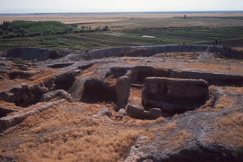 Çatal Höyük