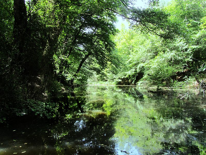 Belgrad Forest