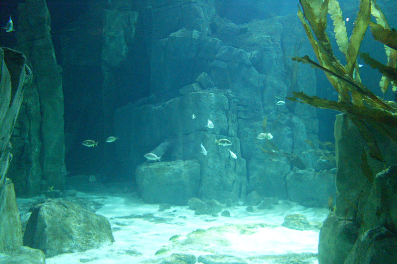 Acuario de Estambul