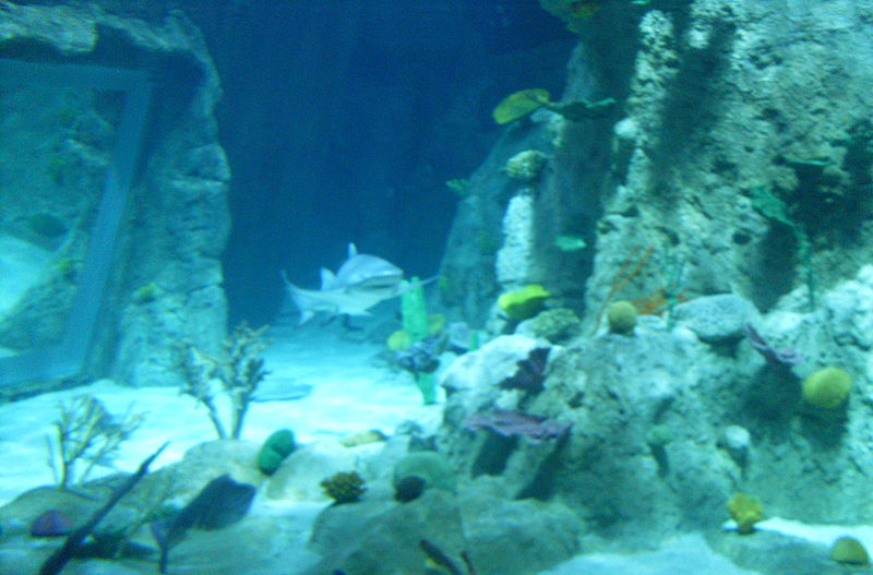 Acuario de Estambul