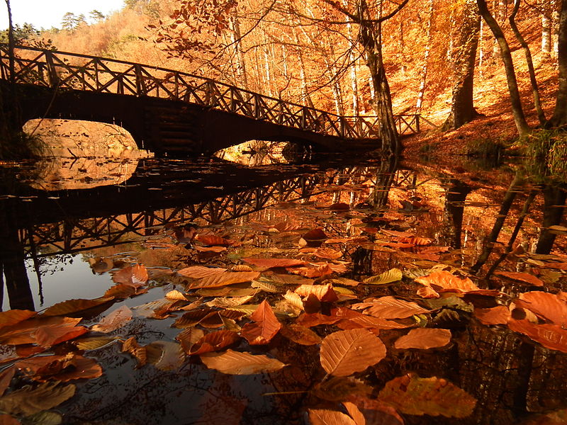 Parque nacional Yedigöller