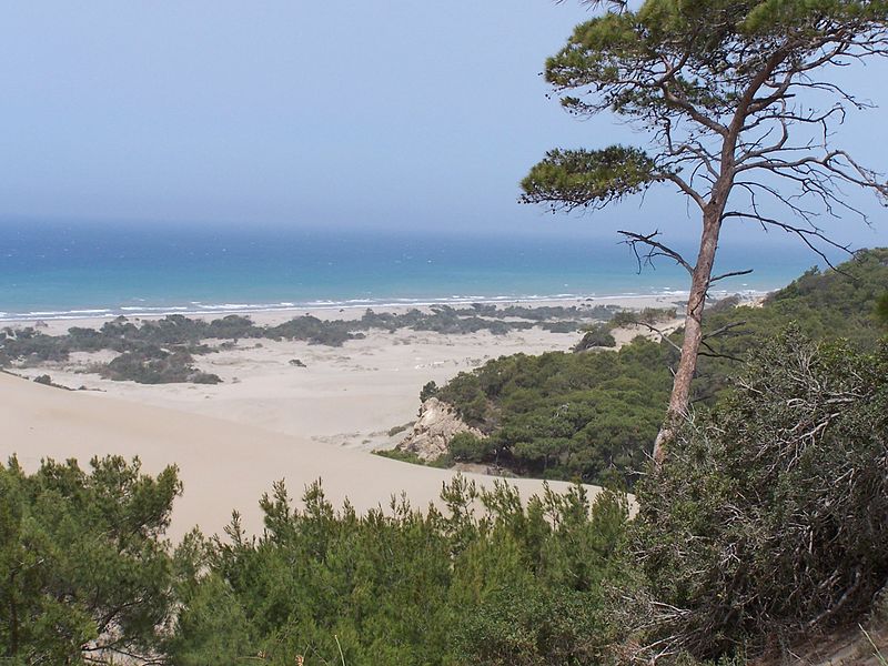 Patara Beach