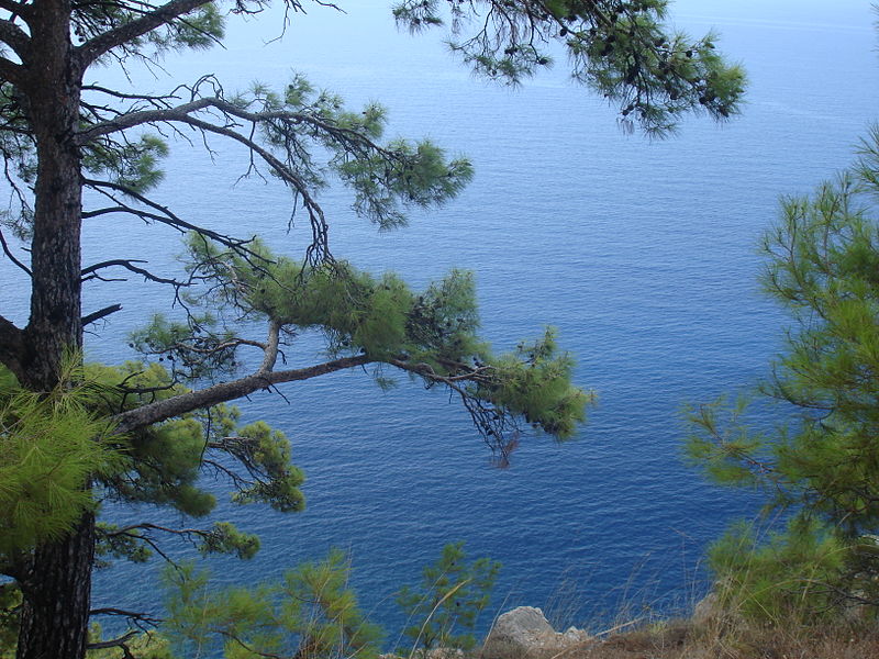 Butterfly Valley