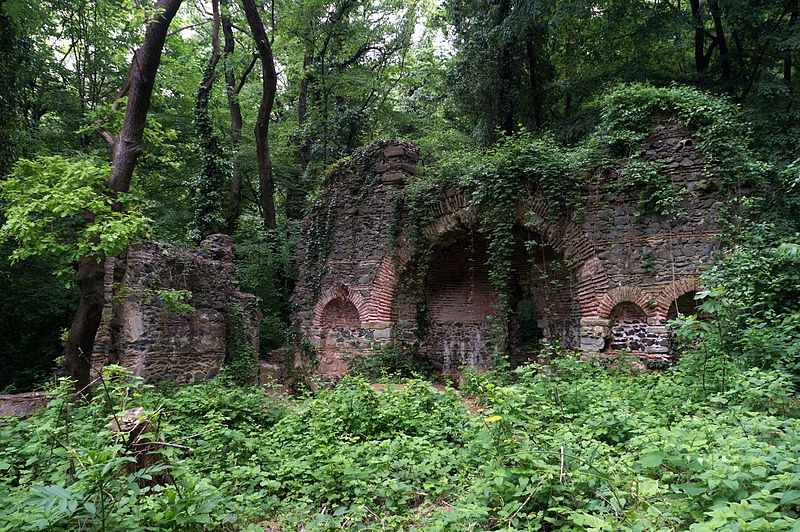 Forêt de Belgrad