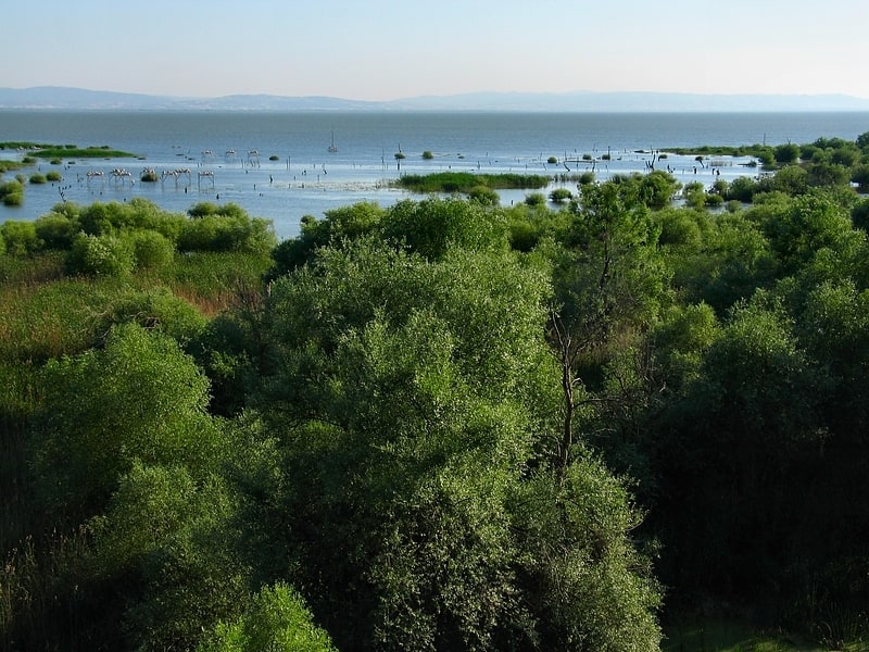 Manyas Gölü, Türkei