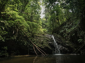 Trinidad and Tobago moist forests