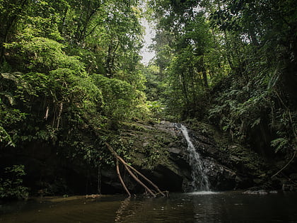 trinidad and tobago moist forests trynidad