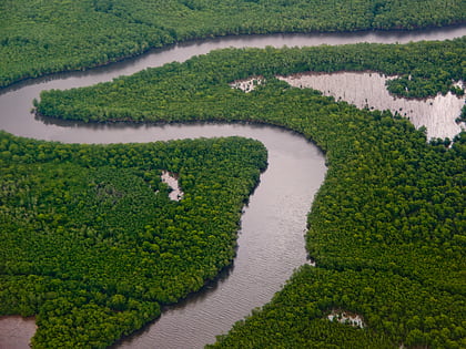 Trinidad mangroves