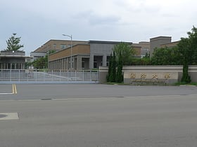 National Defense University