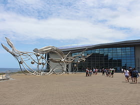 Museo nacional de biología marina y acuario