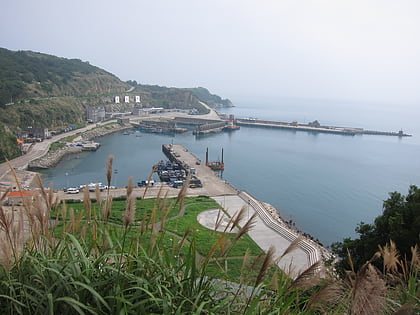 zhongzhu harbor dongyin