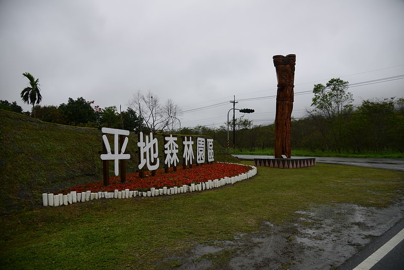 danongdafu forest park guangfu