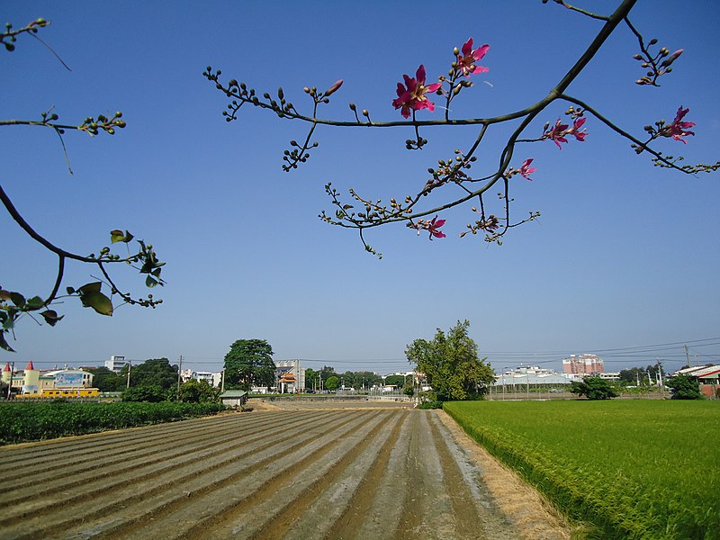 Beidou