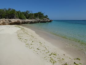 Mbudya Island