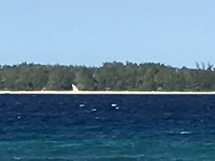 atolon mnemba