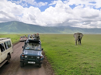 tourism in tanzania parque nacional serengueti