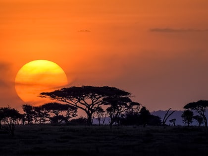 plaine du serengeti parc national du serengeti