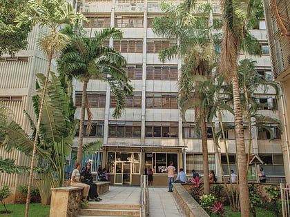 the institute of finance management dar es salaam