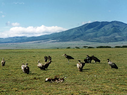 serengeti volcanic grasslands serengeti nationalpark