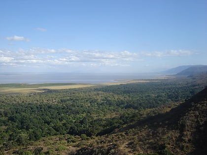 Lago Manyara