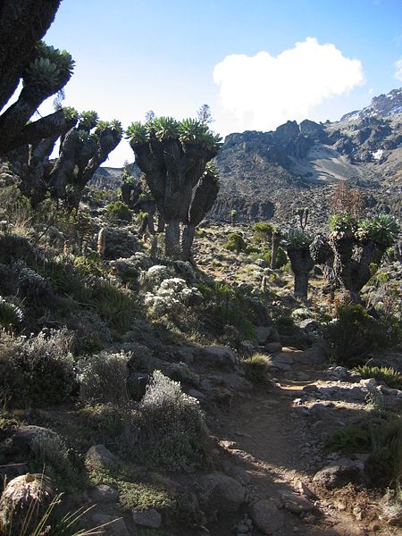 Mount Kilimanjaro climbing routes