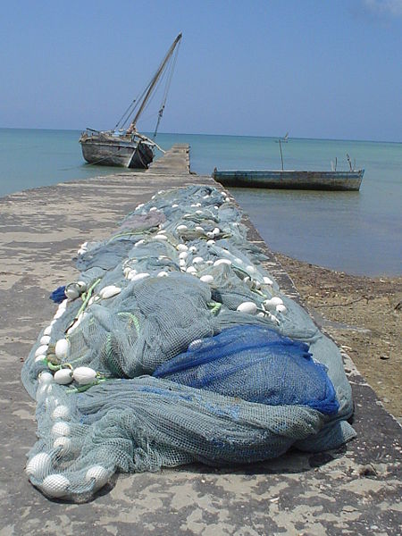 Isla de Pemba