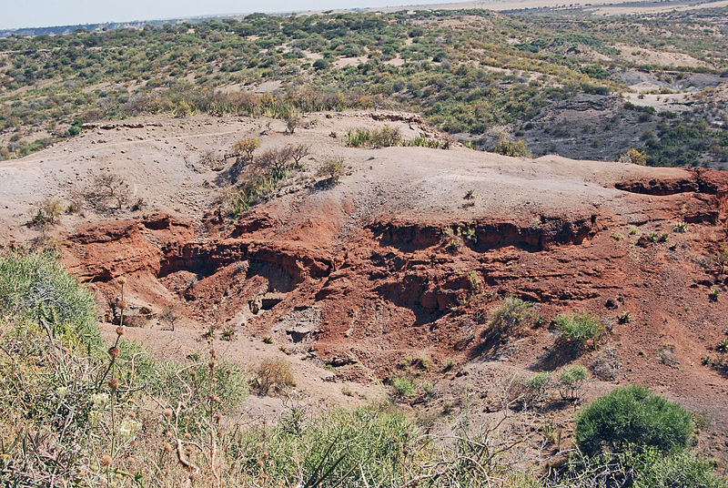 Gorges d'Olduvaï