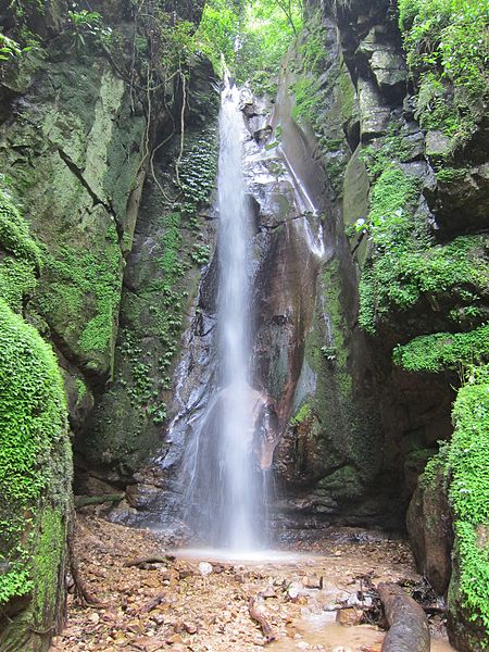 Parque nacional Gombe Stream